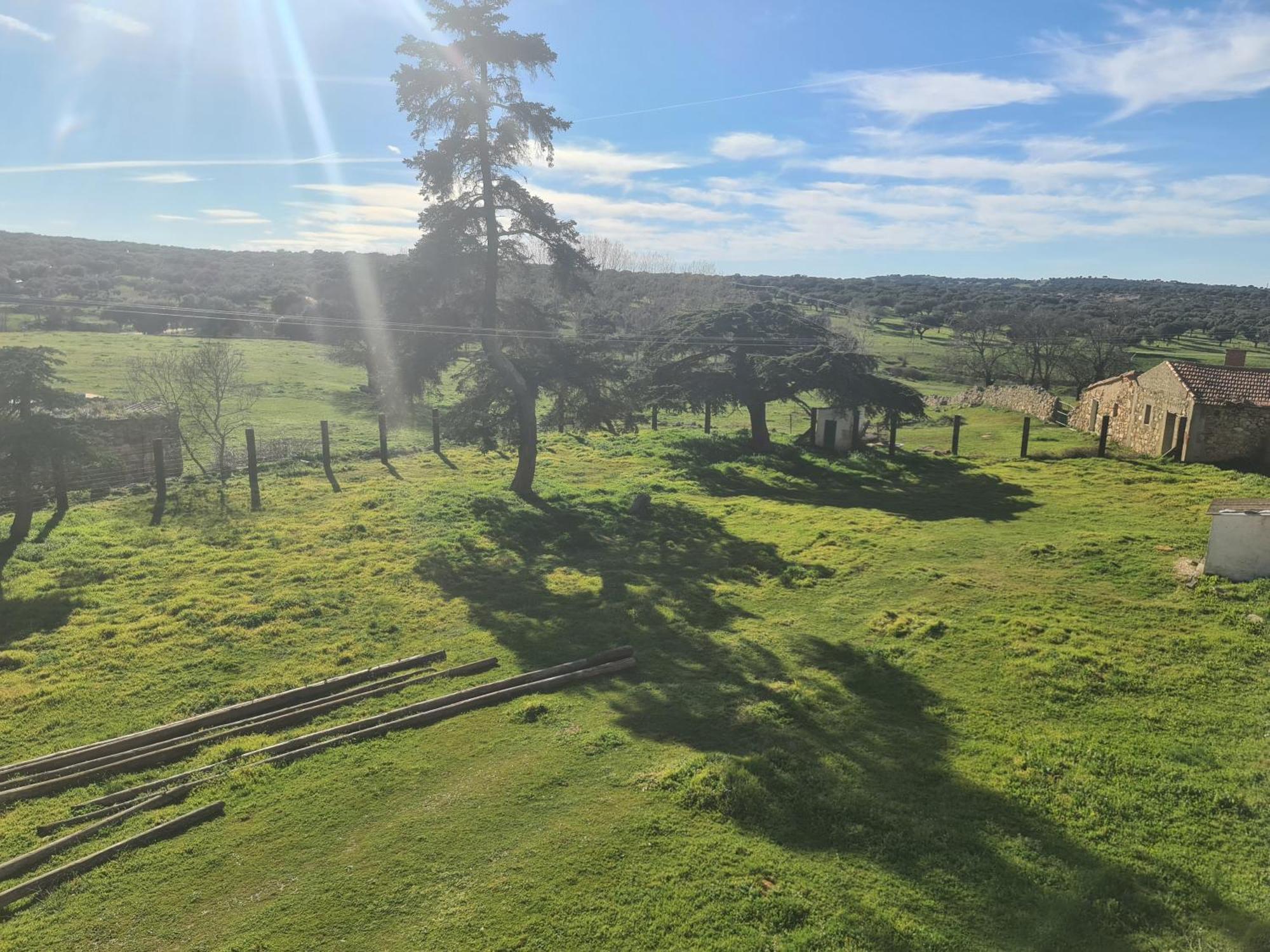 Casa Rural Palacio Conde De Aldana Con Piscina Entre Encinares Y Dehesas Terradillos Buitenkant foto